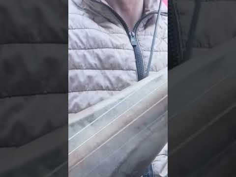احلى نغمة بي هد لوتار منغوم فنان الصوفي هشام