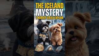 Hachi & Shiko | The Iceland Mystery Ep.9 #ShikoHachiAdventure