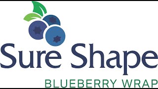 Sure Shape Blueberry Wrap