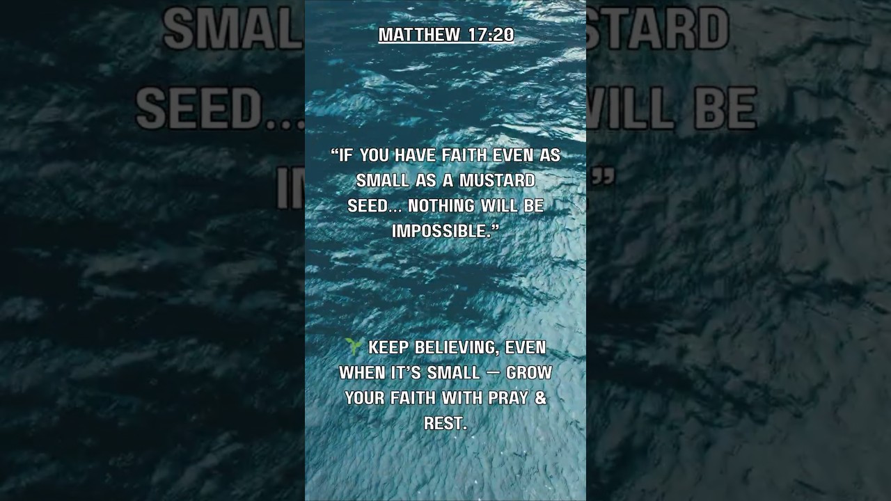A Miracle in One Verse | MATTHEW 