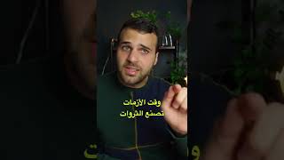 وقت الأزمات تصنع الثروات