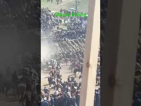 Zomin Oqtosh Maydoni