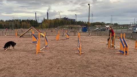 Jumping technique: different exercises 2020-10-7