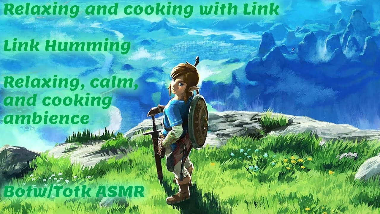 Relaxing and Cooking with Link II Link Humming II Botw-Totk ASMR - YouTube