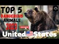 "Top 5 Dangerous Animals in USA 2023: Stay Alert!" | The Fame Files