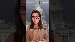 2025 Election Day Preview: key races to watch on November 4