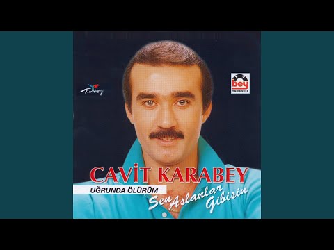 Dostlarım