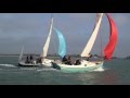 Swallow yachts baycruiser 23 sailing downwind