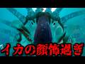 【Subnautica 2】これまで逃げていた奴と向き合おうと思うそして新装備が…深海を探索するホラーゲームが怖過ぎる【サブノーティカ2】