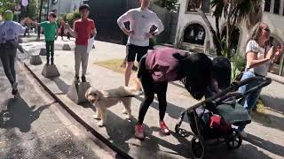 Maratón CDMX PARTE 2