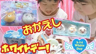 【ホワイトデー】『バレンタイン』のお返しを貰ったので紹介♪マシュマロ☆marshmallow☆cookie☆