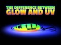 Rapala UV Lures: Are they supposed to glow? : r/Fishing_Gear