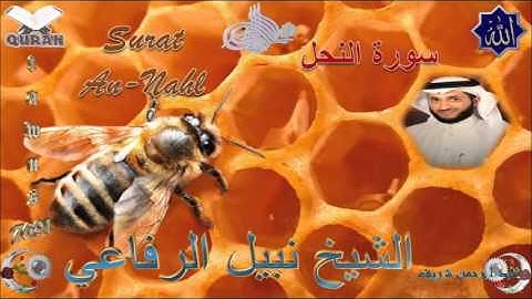 Sheikh Nabil Ar-Rifai - Quran (16) An-Nahl - سورة النحل