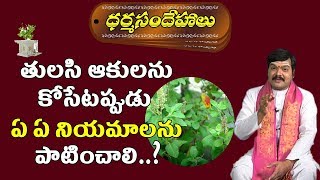 తలసదళనన కసటపపడ ఏ ఏ నయమలన అనసరచల Tulasi Dalam Dharmasandehalu Pooja Tv Telugu