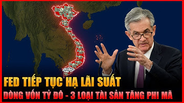 FED NỚI LỎNG – DÒNG TIỀN ĐỔ NHƯ MƯA RÀO VÀO VIỆT NAM VÀ CƠ HỘI ĐẦU TƯ 2026