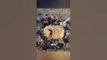 Khorkhog Explained Mongolia S Stone Cooked Secret 