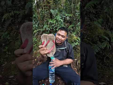 Shalter 2 gunung masurai merangin jambi #gunung #masurai #sumatera #merangin #jambi