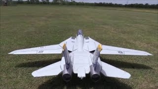 Freewing F14 test flying with gyro and smoke | RCSkunkworksADP