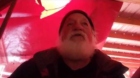 Bucket mouse trap repair anti freeze