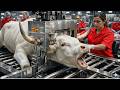 Inside the Bull Horn Leather Factory - (Full Process) How Million-Dollar Luxury Goods Are Made