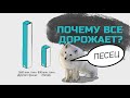 Почему все дорожает? Металл, пластик, дерево, стройматериалы. Ждать ли отката цен назад?