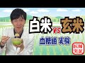 🍚白米vs玄米🍚血糖上昇に差ある⁉︎内科医が食べて検証