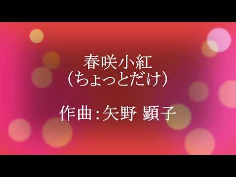 春咲小紅（ちょっとだけ）