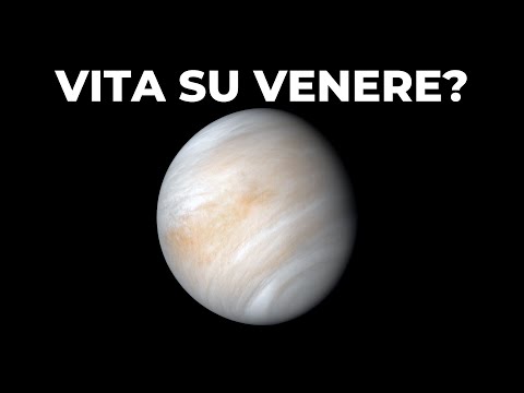 Video: La vita è su Venere?