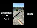 【解答】逆再生の技はどっち？Part1
