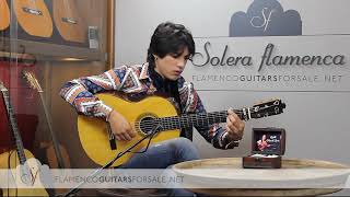 Francisco Barba 2018 Brazilian R. CITES flamenco guitar
