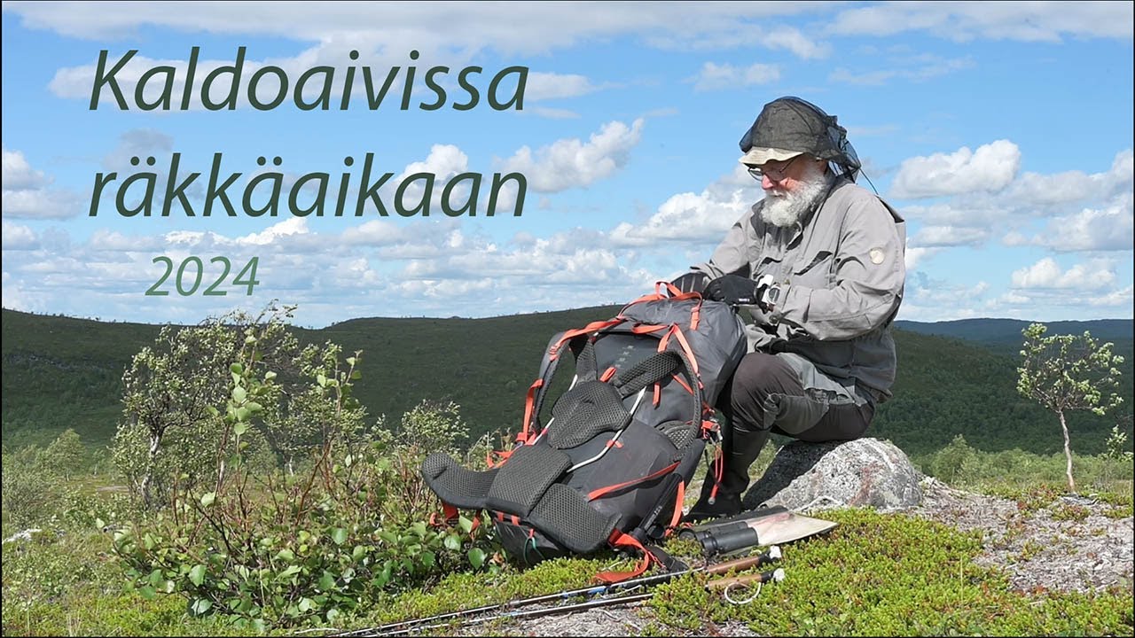 Kaldoaivi räkkäaikaan 2024