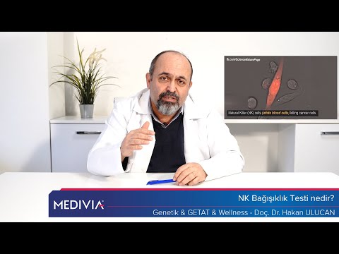 Video: Njsla testi nedir?