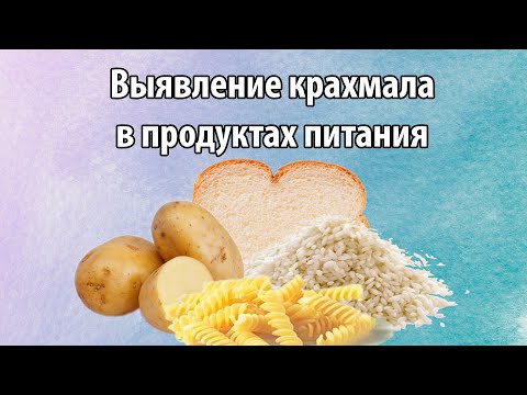 Выявление крахмала в продуктах питания. Домашний эксперимент