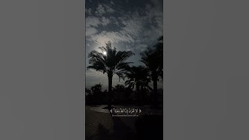 لا تحزن ان الله معنا.. سوره التوبه  القارئ عبد الرحمن مسعد