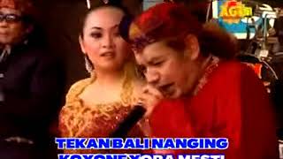 Jamu Pegel Melarat    Paijo ft Dewi  Nirwana Campursari