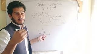 pvc8 plasmid and genetic complementation by undefined learning with simple way