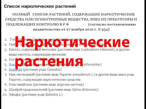 Растения содержащие наркотические вещества