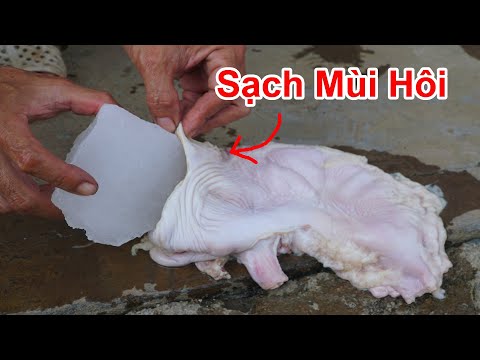 Cách Khử Mùi Hôi Nội Tạng , Lòng Heo , Bò Trâu Cực Hay / Mẹo Khử Mùi Hôi Bao Tử , Lòng Già Nộ Tạng