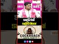 కాంగ్రెస్ కంటే కాక్రోచ్ బెటరా! | KTR Sensational Comment on Congress | Mahaa Telangana