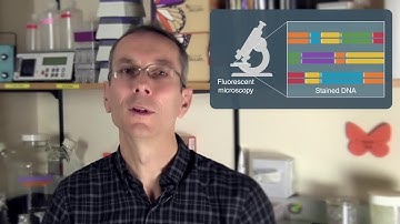 Restriction Enzymes in Optical Mapping
