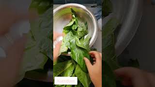 Chomoreopanax Xalapensis Chom Mana Recipe