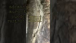 El almacén subterráneo del castillo abandonado de Castro, Jalisco 🇲🇽😮🫒