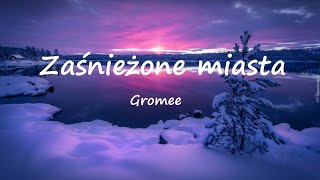 Miniatura de vídeo de "Gromee - Zaśnieżone miasta (Lyrics) ft. Sound'n'Grace"