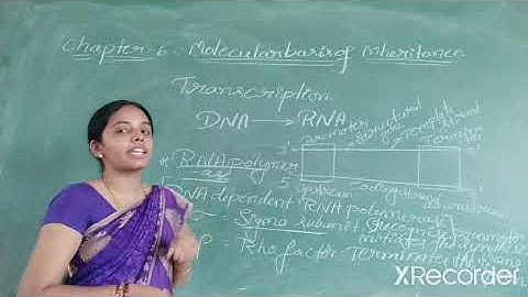 II PU REGULAR TOPIC: MOLECULAR BASIS OF INHERITANCE PART-6