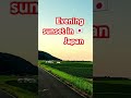 🌅 Evening Sunset in Japan 🇯🇵 | Beautiful Japanese Countryside View