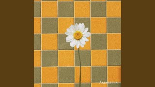 daisy if you do - Amarella