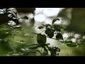 Relaxing Piano Music with Rain Sounds 🌧️ Peaceful Ambience for Relaxation