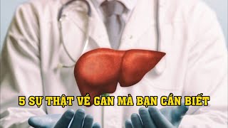 5 SỰ THẬT VỀ GAN MÀ BẠN CẦN BIẾT