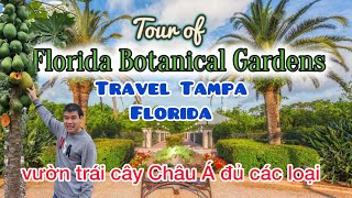 Du lịch Tampa Florida- Khám há vườn bách thảo Florida Botanical Gardens