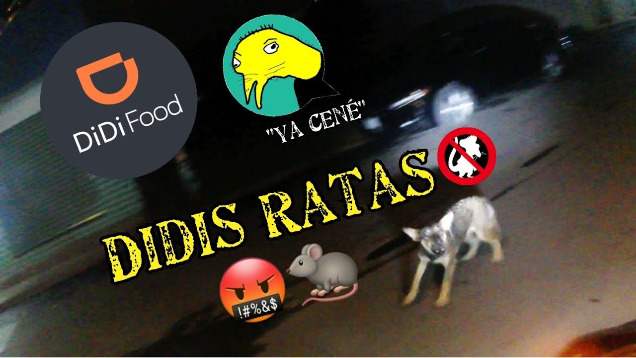 DiDi ratas...🤬🐀(171) - YouTube